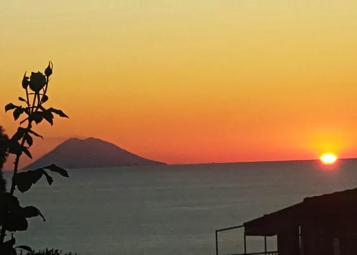 Belvedere * טרופאה