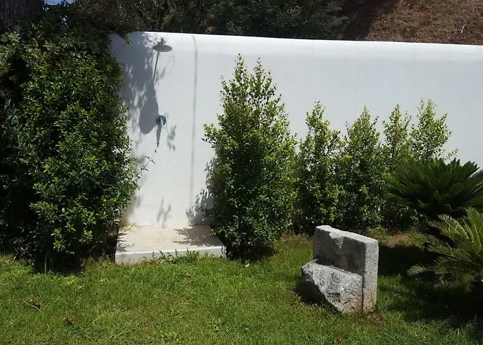 Belvedere טרופאה